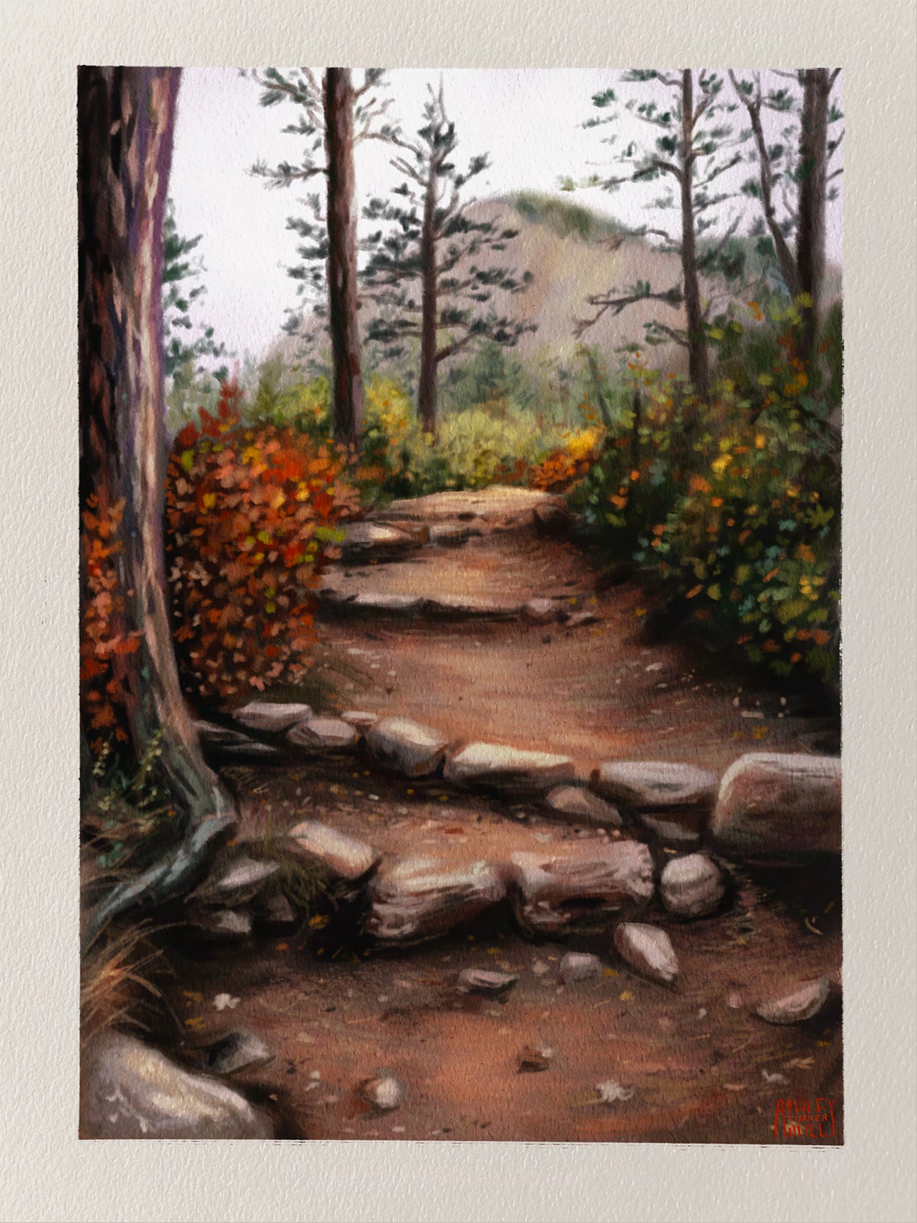 Ashley Newell - Steps